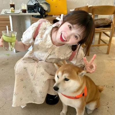法医朝颜2